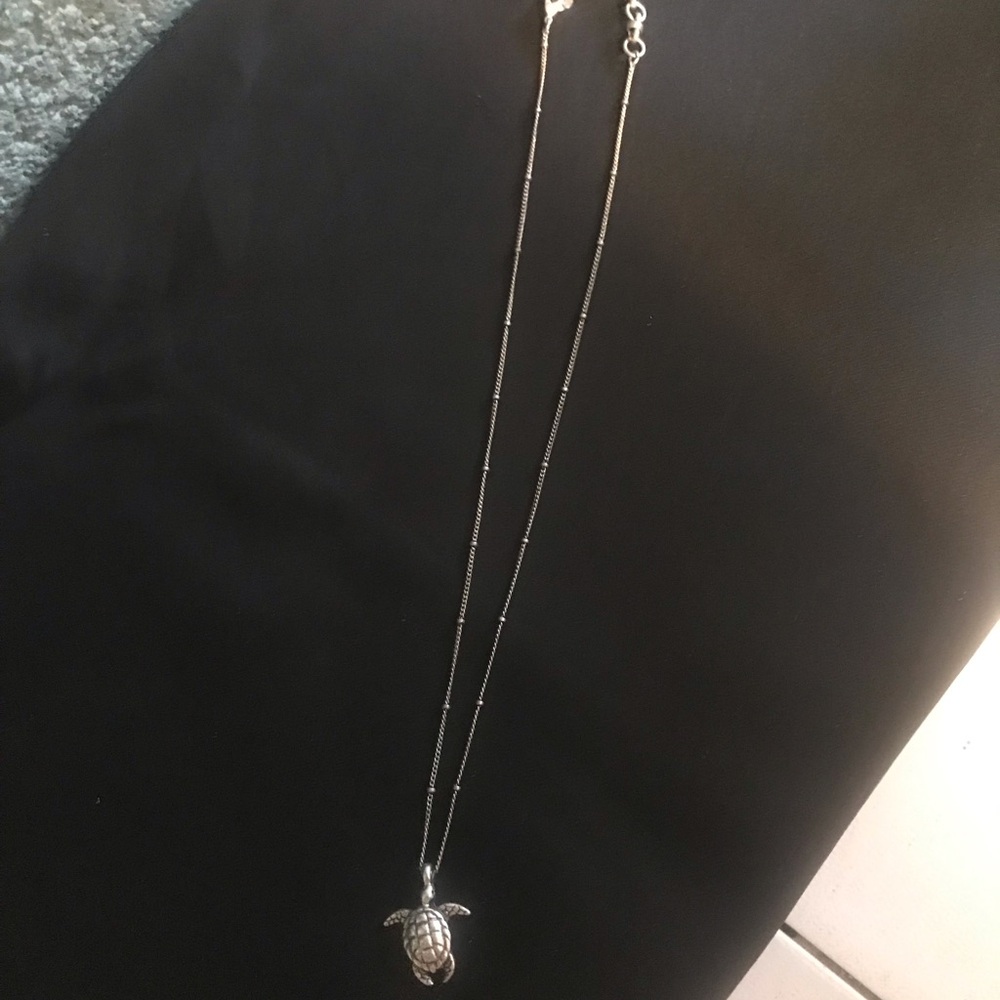 Silver Turtle Pendant Necklace